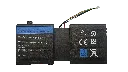 Firefly.webp