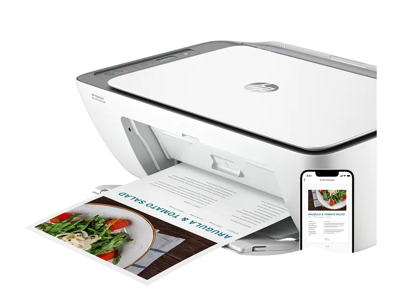 HP DeskJet Ink Advantage 2876 Wireless, Print, Scan, Copy, All-in-One Printer - Cement