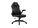 Alpha Gamer Sirius Series Gaming Chair - Black | AGSIRIUS-BK